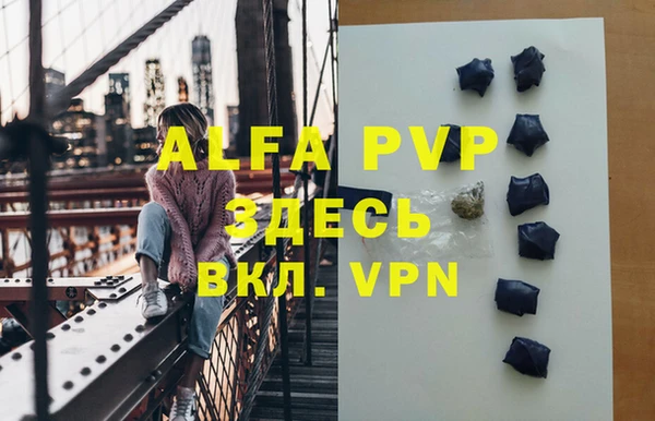 spice Приозерск