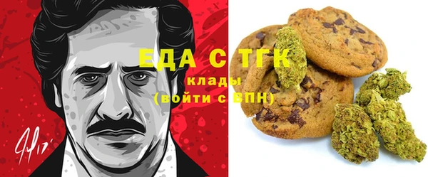 PSILOCYBIN Алзамай