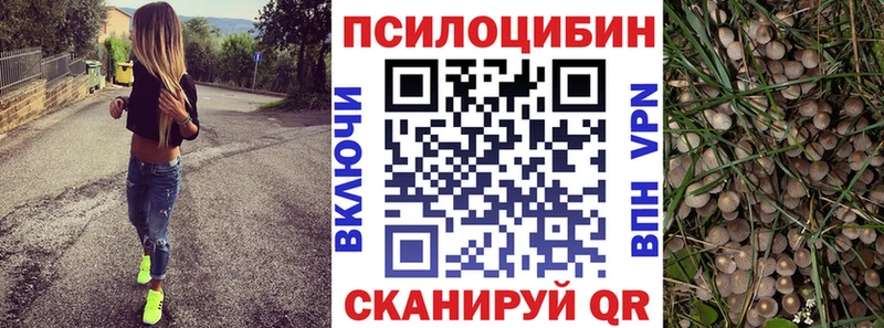 Галлюциногенные грибы мухоморы  Тырныауз 